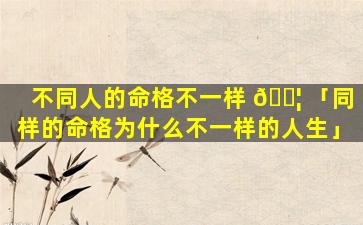 不同人的命格不一样 🐦 「同样的命格为什么不一样的人生」